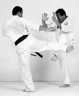 Illustration for article titled The Road to Black Belt: The Terror of the Low Kick